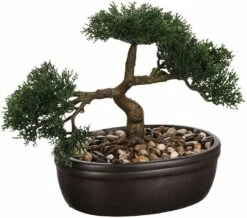 Bonsai Kunstpflanze In Schwarz