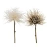 2er-Set: Dekoblumen "Blumen & Blüten" In Beige/ Creme 1 2er-Set: Dekoblumen "Blumen & Blüten" In Beige/ Creme -Heimdekoration boltze 2er set dekoblumen blumen and bluten in beige creme