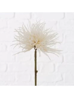 2er-Set: Dekoblumen "Blumen & Blüten" In Beige/ Creme -Heimdekoration boltze 2er set dekoblumen blumen and bluten in beige creme 2