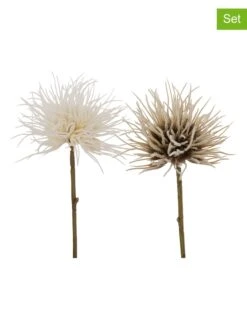 2er-Set: Dekoblumen "Blumen & Blüten" In Beige/ Creme