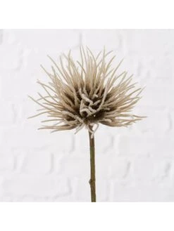 2er-Set: Dekoblumen "Blumen & Blüten" In Beige/ Creme -Heimdekoration boltze 2er set dekoblumen blumen and bluten in beige creme 3