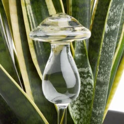 Heimdekoration 16 Heimdekoration -Heimdekoration butlers bewasserungspilz hohe 22cm raindrops in transparent 1