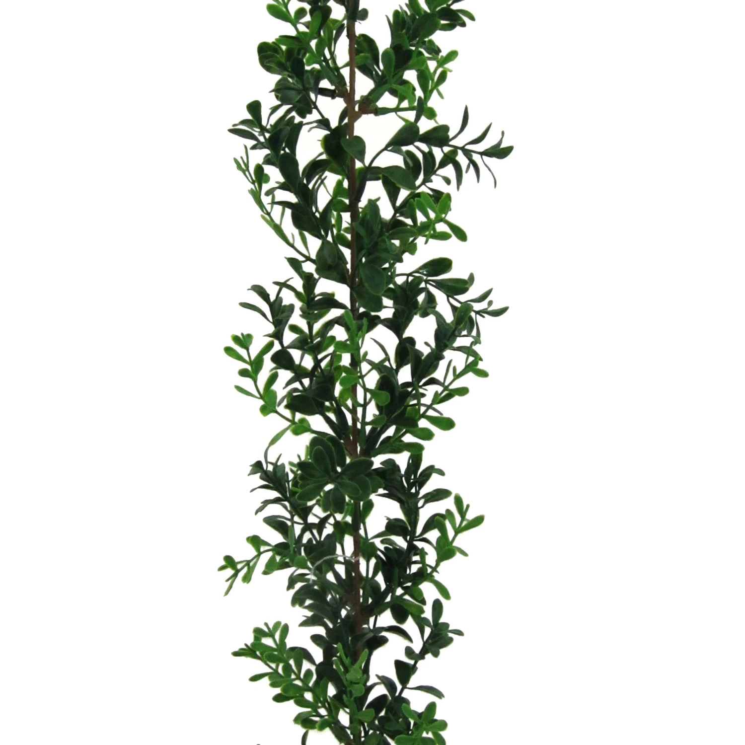 Deko-Girlande Buchsbaum In Grün 3 Deko-Girlande Buchsbaum In Grün