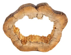 Solarleuchte "SOLAR" In Brown 10 Solarleuchte "SOLAR" In Brown -Heimdekoration globo lighting solarleuchte solar in brown 3