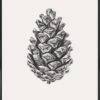 Poster In Kunststoffrahmen "Pinecone" In Cremeweiß & Grau 2 Poster In Kunststoffrahmen "Pinecone" In Cremeweiß & Grau -Heimdekoration juniqe poster in kunststoffrahmen pinecone in cremeweiss and grau