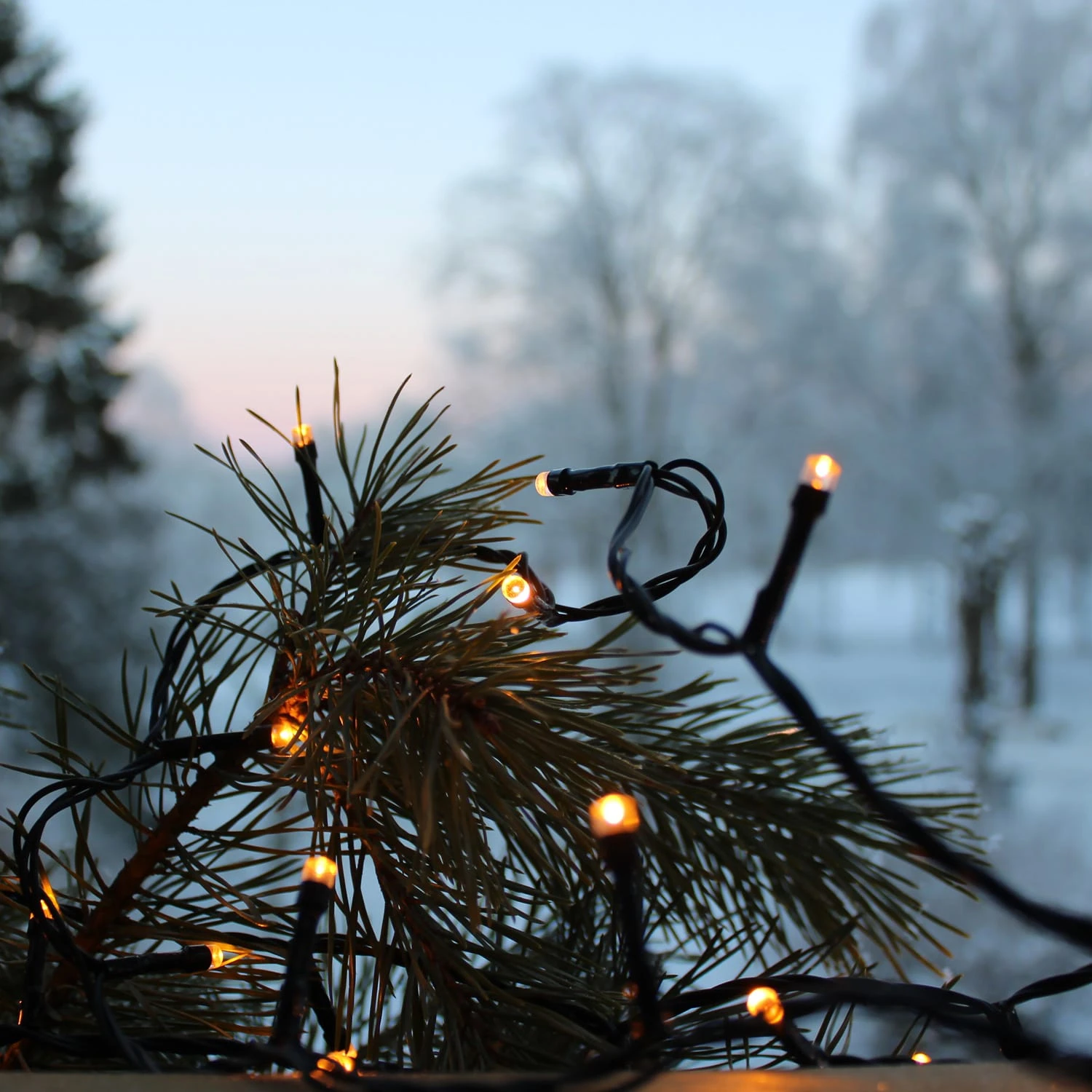 LED Lichterkette Für Außen 360LED L: 25m In Schwarz 4 LED Lichterkette Für Außen 360LED L: 25m In Schwarz – Bild 2