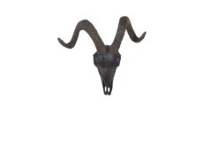 Deko Schädel Ziege In Schwarz