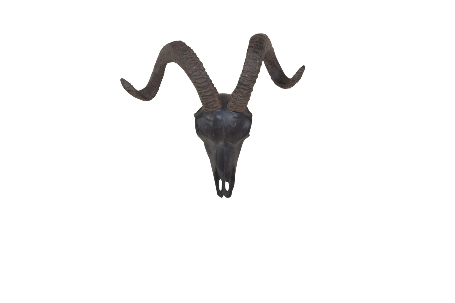 Deko Schädel Ziege In Schwarz 3 Deko Schädel Ziege In Schwarz