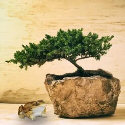 10x Froschfigur In Gelb 13 10x Froschfigur In Gelb -Heimdekoration relaxdays 10x froschfigur in gelb 4