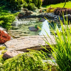 10x Teichente In Mehrfarbig 13 10x Teichente In Mehrfarbig -Heimdekoration relaxdays 10x teichente in mehrfarbig 4