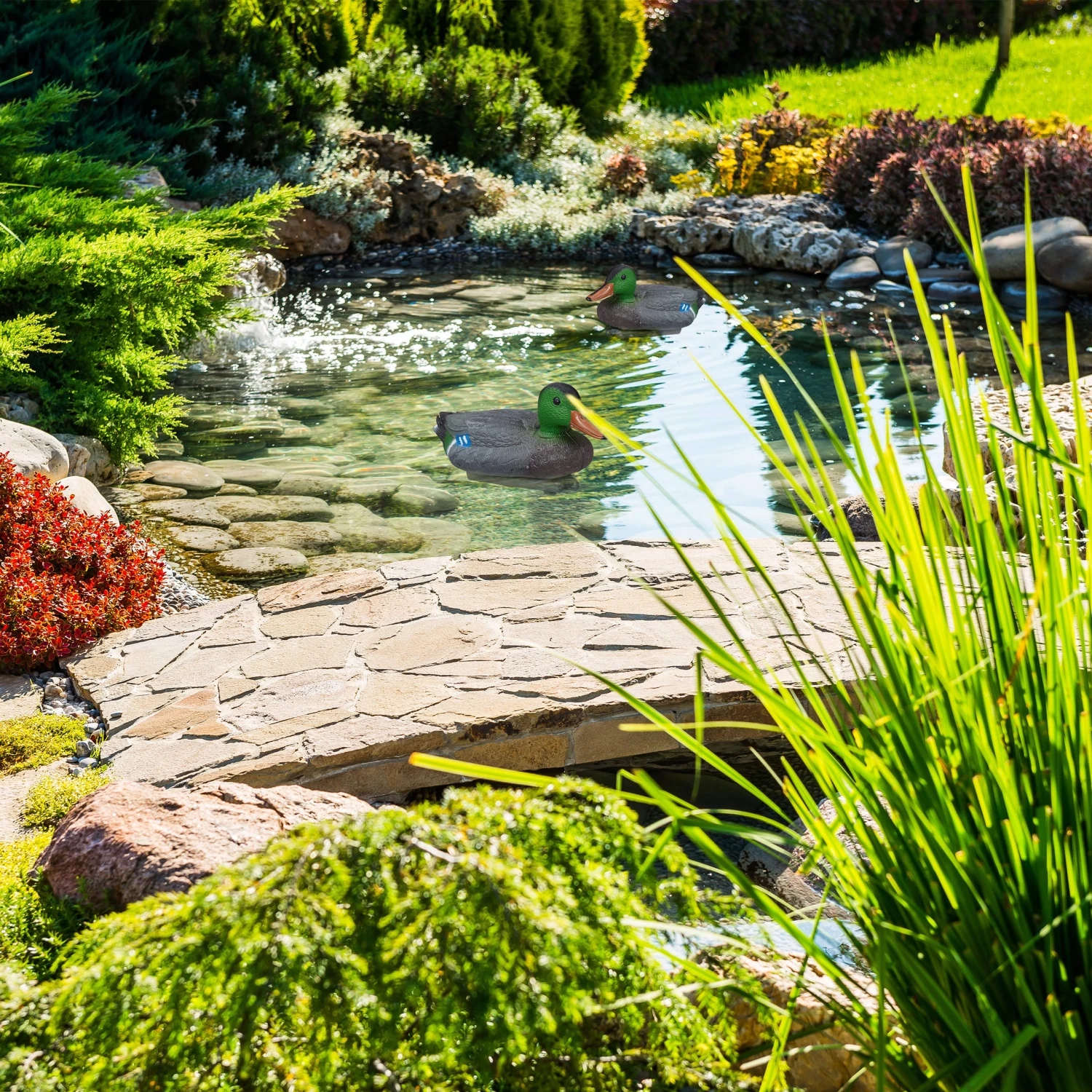 10x Teichente In Mehrfarbig 7 10x Teichente In Mehrfarbig – Bild 5