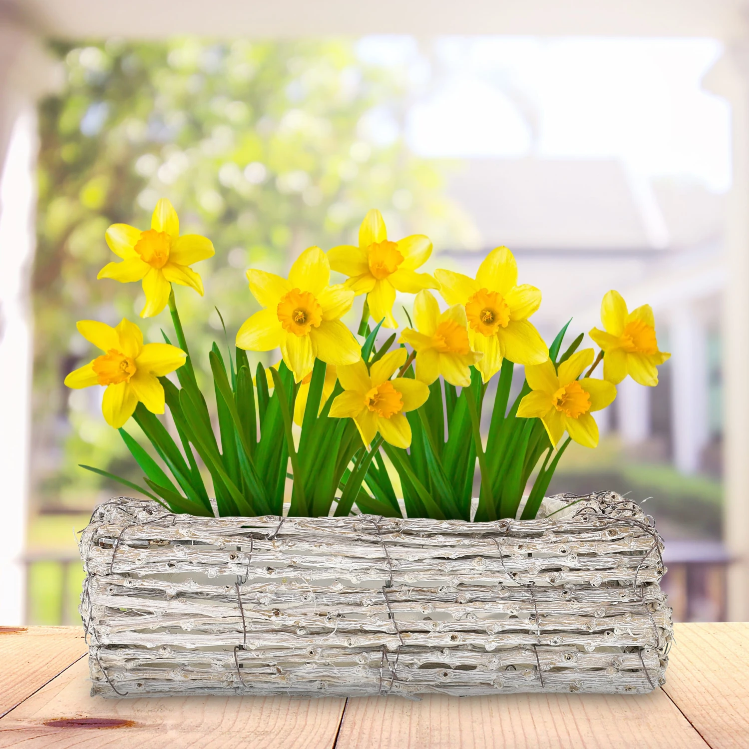 2 X Blumentopf In Weiß/ Natur - (B)27 X (H)8 X (T) 17 Cm 4 2 X Blumentopf In Weiß/ Natur - (B)27 X (H)8 X (T) 17 Cm – Bild 2