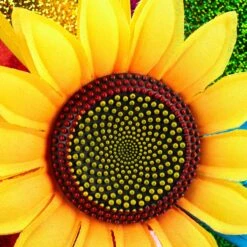 2x Windrad In Bunt - (B)37,5 X (H)74,5 X (T)14 Cm 15 2x Windrad In Bunt - (B)37,5 X (H)74,5 X (T)14 Cm -Heimdekoration relaxdays 2x windrad in bunt b 37 5 x h 74 5 x t 14 cm 6