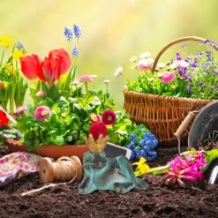 4 X Gartenfigur Froschkönig In Grün - Größe S 12 4 X Gartenfigur Froschkönig In Grün - Größe S -Heimdekoration relaxdays 4 x gartenfigur froschkonig in grun grosse s 2