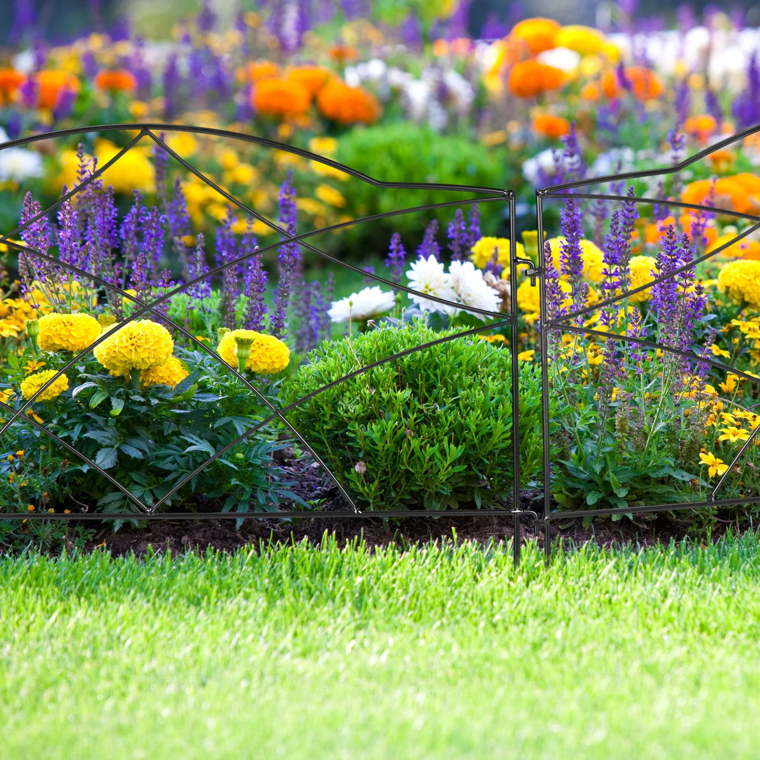 6 X Beetzaun In Schwarz 7 6 X Beetzaun In Schwarz – Bild 5