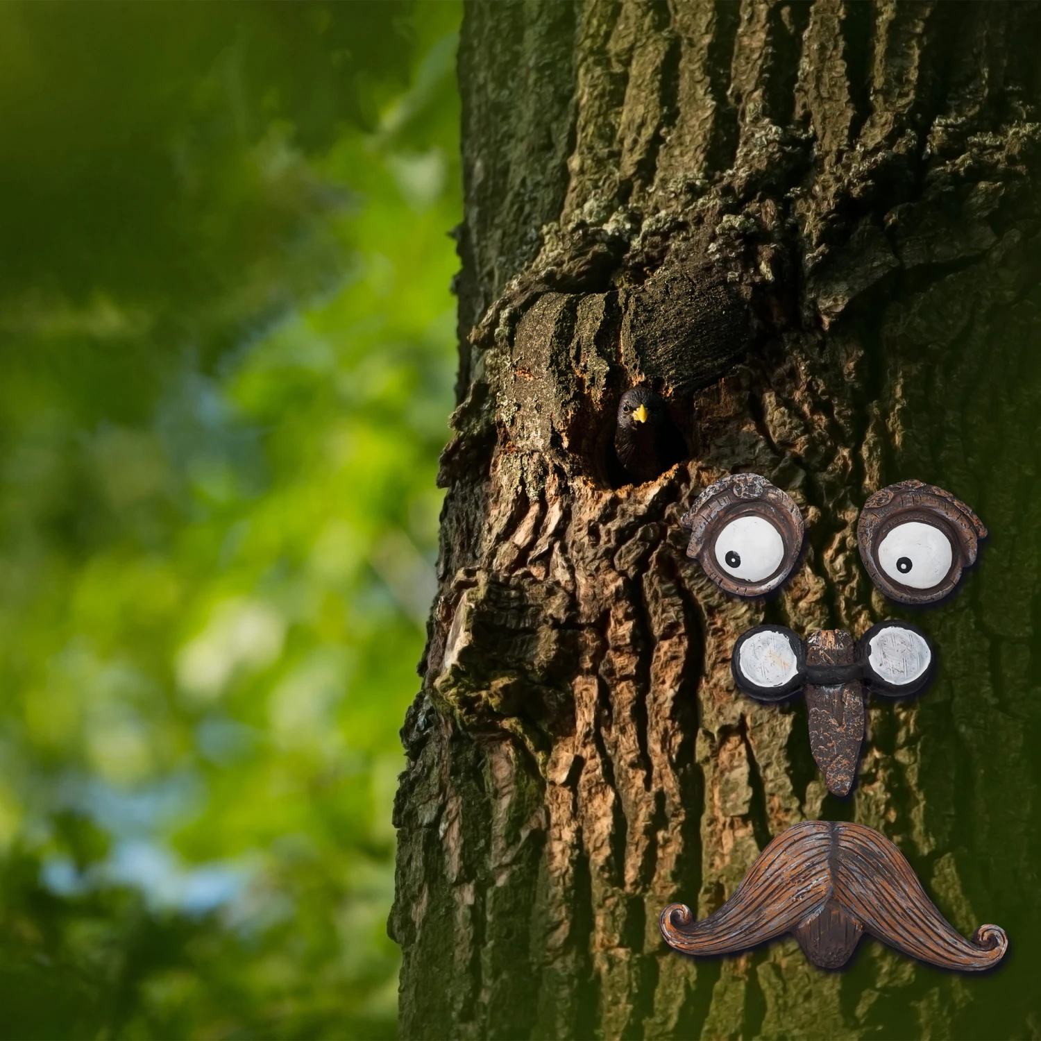 Baumgesicht Alter Mann In Braun/Weiß 4 Baumgesicht Alter Mann In Braun/Weiß – Bild 2