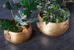 Dekoschale ORIENT In Gold - 37 X 19 X 37cm 15 Dekoschale ORIENT In Gold - 37 X 19 X 37cm -Heimdekoration riess ambiente de dekoschale orient in gold 37 x 19 x 37cm 3