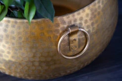 Dekoschale ORIENT In Gold - 37 X 19 X 37cm 16 Dekoschale ORIENT In Gold - 37 X 19 X 37cm -Heimdekoration riess ambiente de dekoschale orient in gold 37 x 19 x 37cm 4