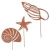 3er Set Gartenstecker Rost Muscheln Und Seestern In Braun 1 3er Set Gartenstecker Rost Muscheln Und Seestern In Braun -Heimdekoration unus 3er set gartenstecker rost muscheln und seestern in braun