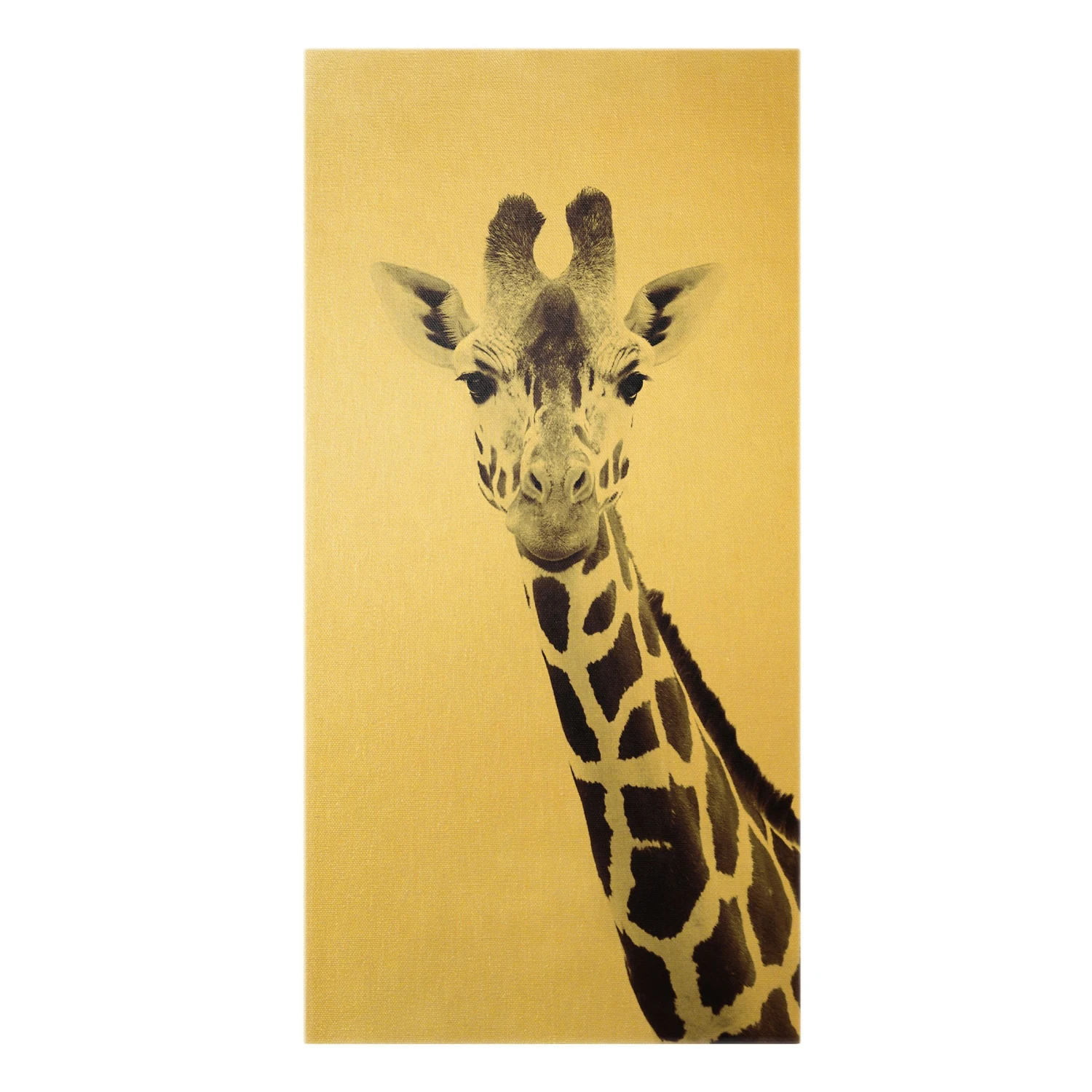 Leinwandbild Gold - Giraffen Portrait In Schwarzweiß In Schwarz-Weiß 3 Leinwandbild Gold - Giraffen Portrait In Schwarzweiß In Schwarz-Weiß