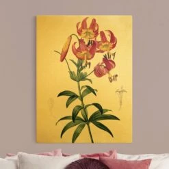 Leinwandbild Gold - Pierre Joseph Redouté - Türkenbundlilie In Pink -Heimdekoration wallart leinwandbild gold pierre joseph redoute turkenbundlilie in pink 2