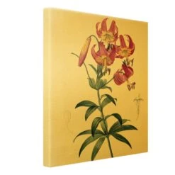 Leinwandbild Gold - Pierre Joseph Redouté - Türkenbundlilie In Pink -Heimdekoration wallart leinwandbild gold pierre joseph redoute turkenbundlilie in pink 5