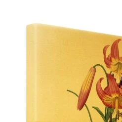 Leinwandbild Gold - Pierre Joseph Redouté - Türkenbundlilie In Pink -Heimdekoration wallart leinwandbild gold pierre joseph redoute turkenbundlilie in pink 6