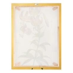 Leinwandbild Gold - Pierre Joseph Redouté - Türkenbundlilie In Pink -Heimdekoration wallart leinwandbild gold pierre joseph redoute turkenbundlilie in pink 7