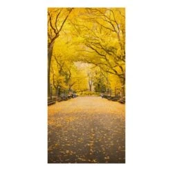 Leinwandbild - Herbst Im Central Park In Orange