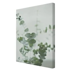 Leinwandbild - Wachsende Eukalyptuszweige In Grün 15 Leinwandbild - Wachsende Eukalyptuszweige In Grün -Heimdekoration wallart leinwandbild wachsende eukalyptuszweige in grun 5