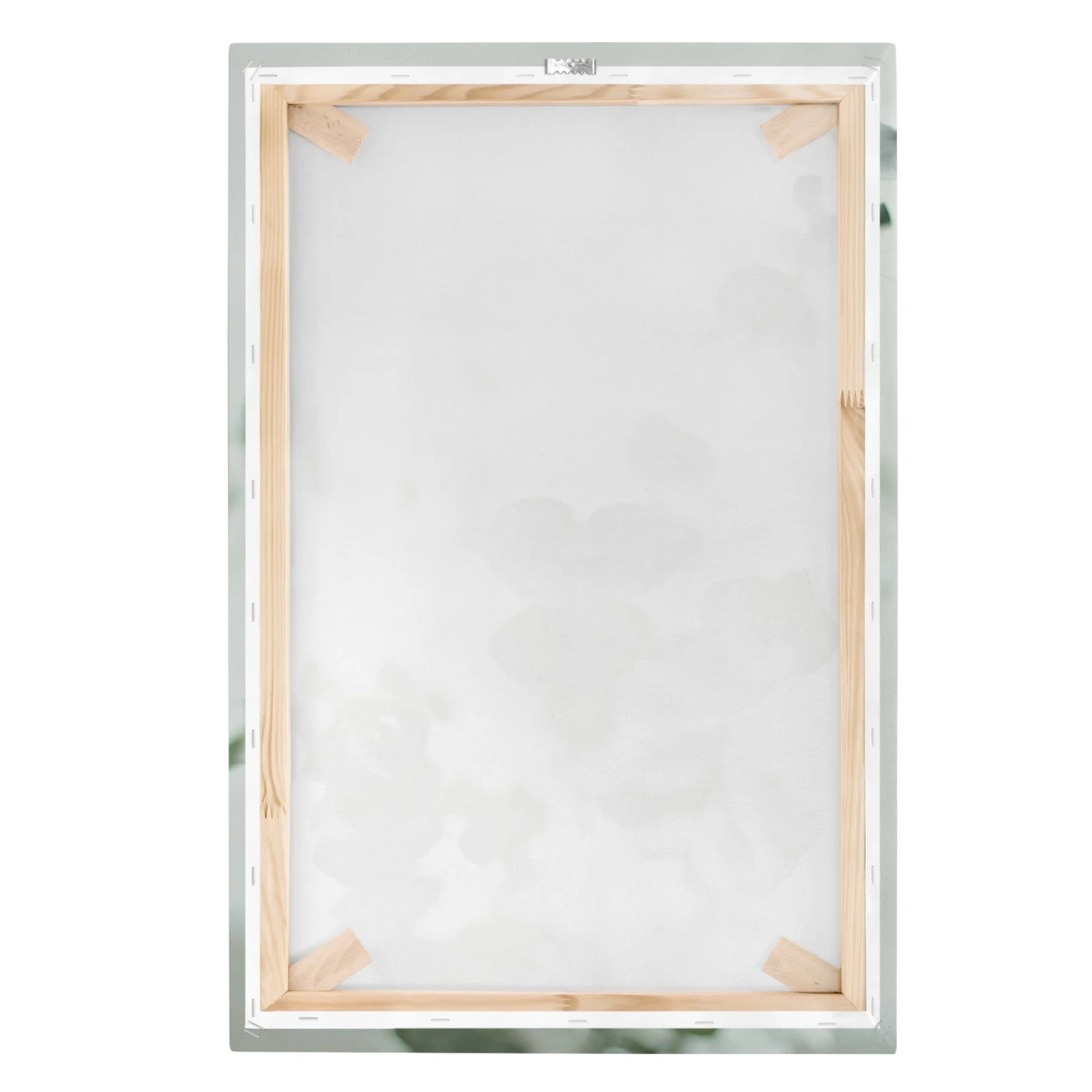 Leinwandbild - Wachsende Eukalyptuszweige In Grün 9 Leinwandbild - Wachsende Eukalyptuszweige In Grün – Bild 7