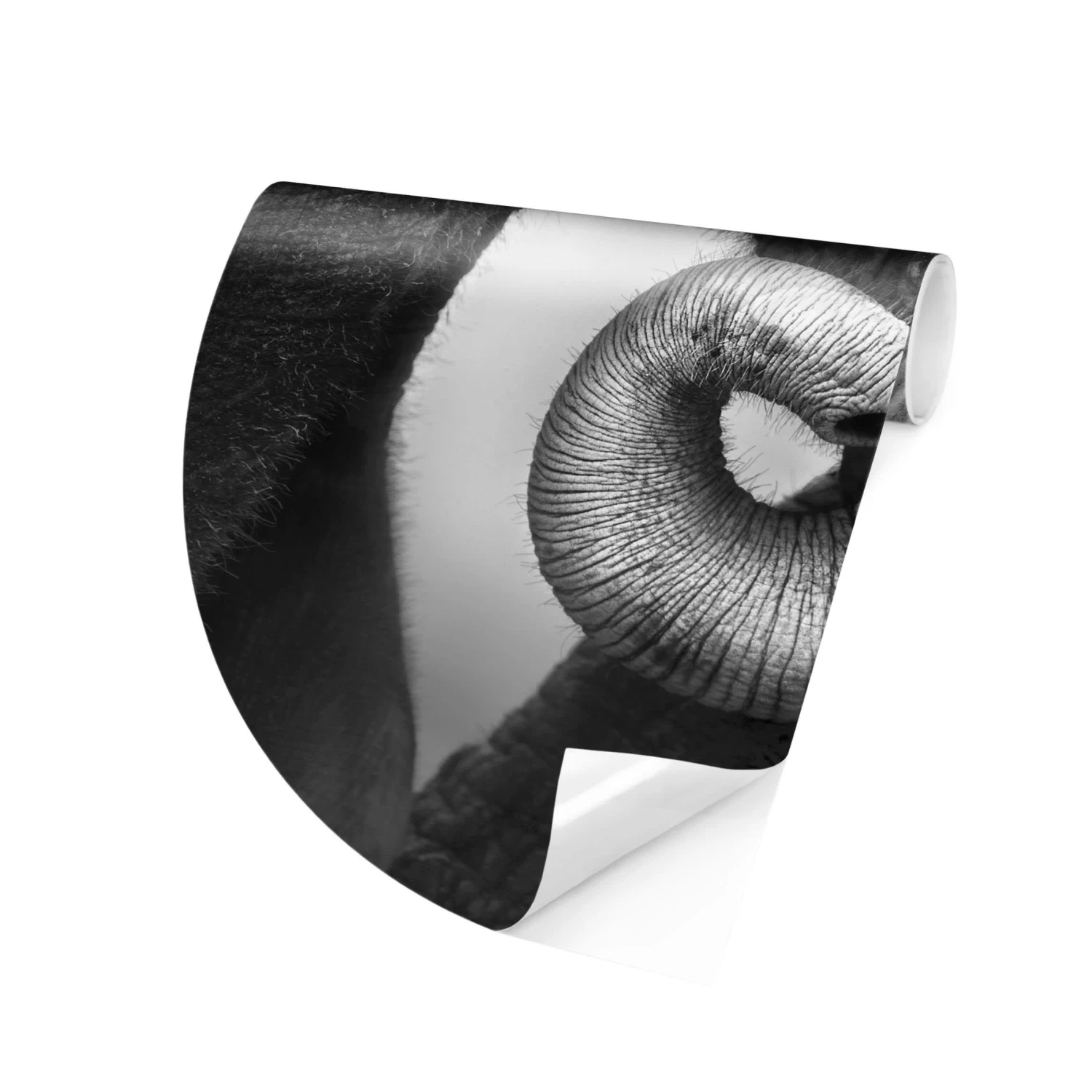 Runde Tapete - Mutterliebe In Grau 8 Runde Tapete - Mutterliebe In Grau – Bild 6