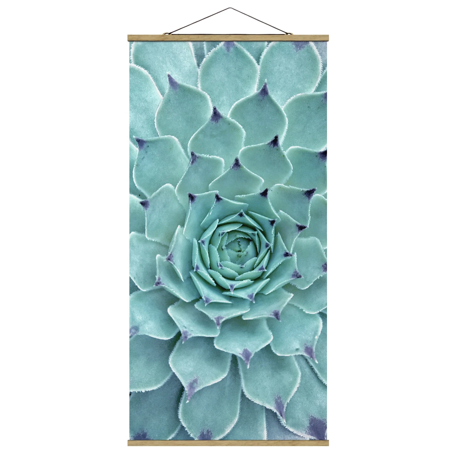 Stoffbild Mit Posterleisten - Kaktus Agave In Türkis 3 Stoffbild Mit Posterleisten - Kaktus Agave In Türkis