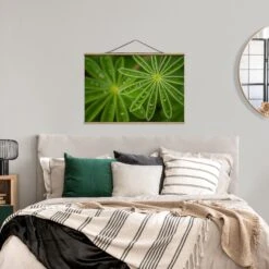 Stoffbild Mit Posterleisten - Morgentau Auf Lupinenblättern In Grün -Heimdekoration wallart stoffbild mit posterleisten morgentau auf lupinenblattern in grun 3