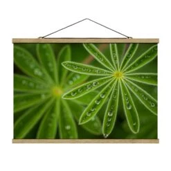 Stoffbild Mit Posterleisten - Morgentau Auf Lupinenblättern In Grün -Heimdekoration wallart stoffbild mit posterleisten morgentau auf lupinenblattern in grun 4