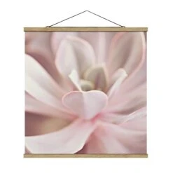 Stoffbild Mit Posterleisten - Rosane Sukkulentenblüte In Rosa