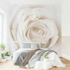Vliestapete Smart - Pretty White Rose In Weiß 9 Vliestapete Smart - Pretty White Rose In Weiß -Heimdekoration wallart vliestapete smart pretty white rose in weiss 1