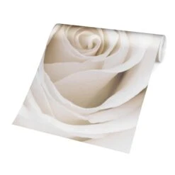 Vliestapete Smart - Pretty White Rose In Weiß 13 Vliestapete Smart - Pretty White Rose In Weiß -Heimdekoration wallart vliestapete smart pretty white rose in weiss 5